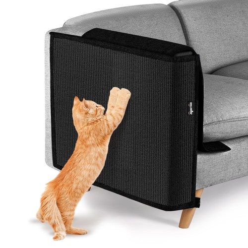 Cat scratch furniture couch - cat,