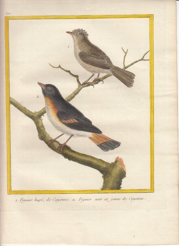 Hand colored martinet histoire - hand,