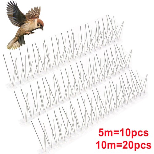 10m pigeon bird spikes - 5m,