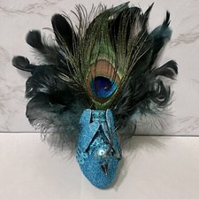 Peacock with Feathers