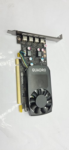 Nvidia quadro p600 - nvidia, 2gb