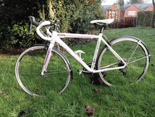 Ladies Road Cycle, Forme