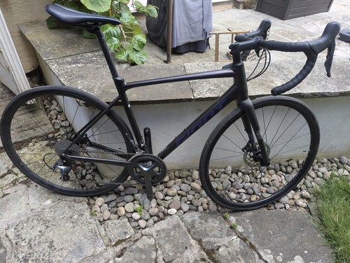 Giant contend sl2 - giant,