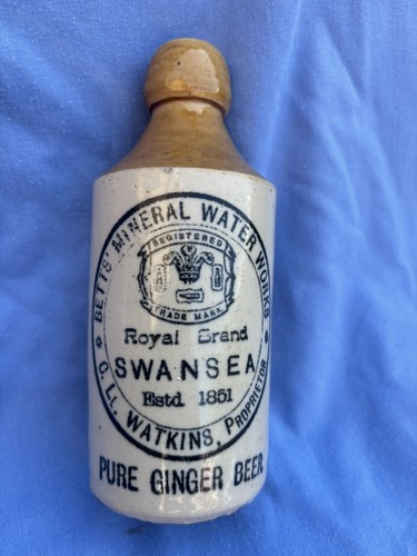 Swansea stone ginger beer - ginger,