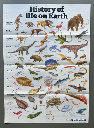 The guardian wall - the,