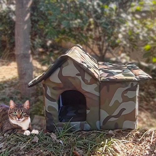 Puppy tent house - puppy, cat