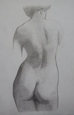 Pencil tonal life drawing