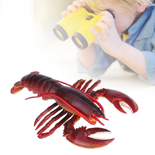 Asimulation soft plastic - soft,