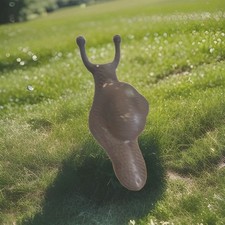Cast Iron Rustic Snail Brown