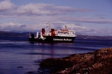 Lord of Isles Caledonian