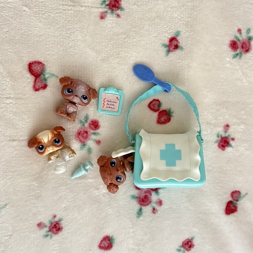 Littlest pet shop poodle puppy - pet,