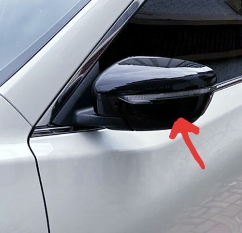 Wing mirror cover - wing, caps