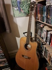 Washburn Semi Acoustic