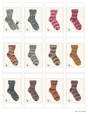 Opal Rainforest 20 ~ 4 Ply