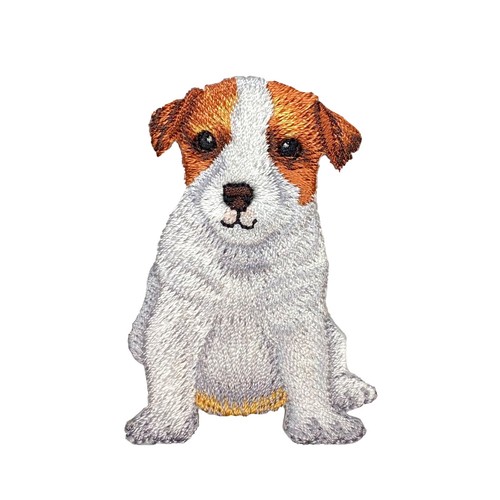 Jack russell terrier dog - terrier,,