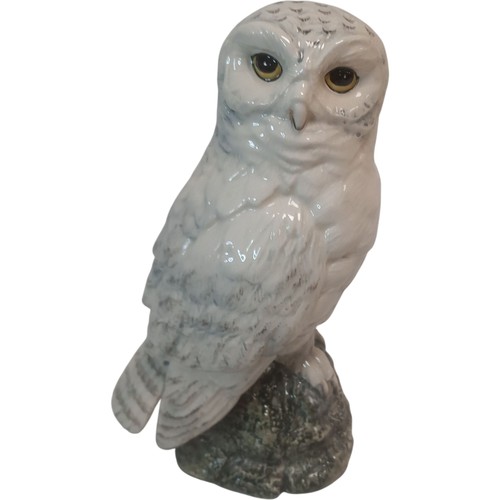 Royal doulton snowy owl - royal,