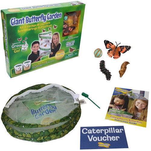 Insect lore giant butterfly - giant,