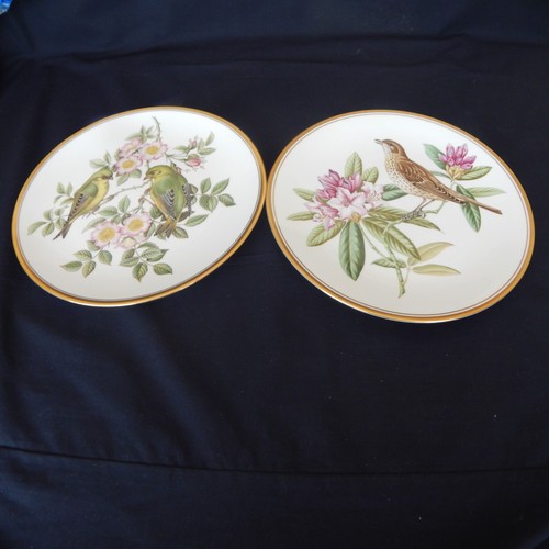 Spode garden birds - 2,