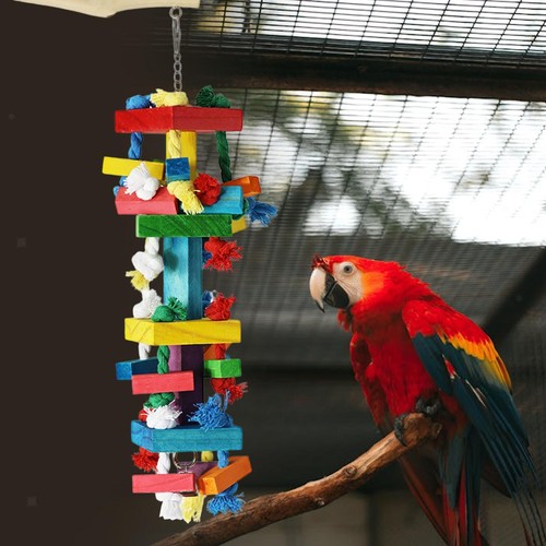 Bird chewy toy - bird, perch