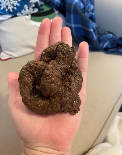 High quality fake dog - quality, poo
