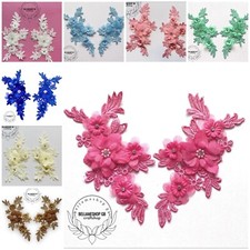 Beautiful 3D lace applique