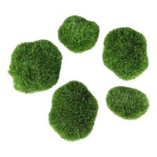 5pcs Green Marimo Moss Ball