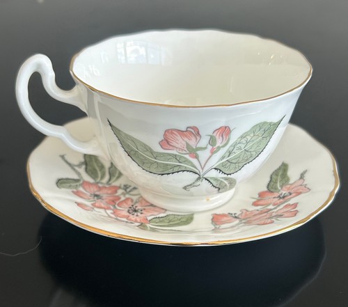 Vintage mayfair bonechina - vintage,