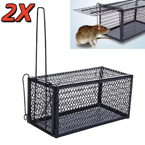 Pcs rat trap - pcs,