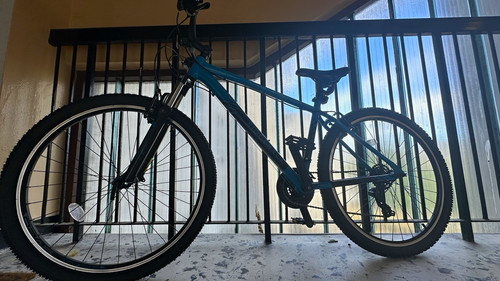 Mountain bike ridgeback - mountain,