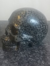 Stunning Large Leopard Skin