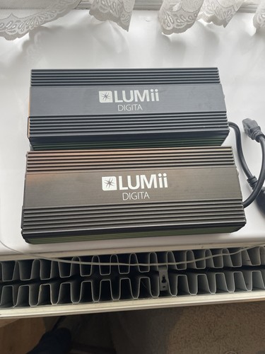 Lumii 600 watt electric - lumii, eco
