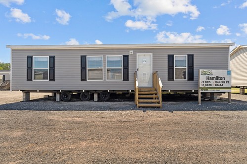 2025 live oak hamilton - 2025,