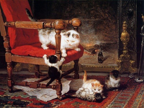 Henriette ronner knip cat - henriette,