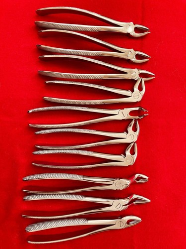 Dental surgical instruments - surgical,