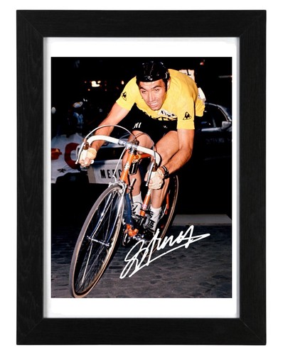 Eddy merckx signed - merckx,