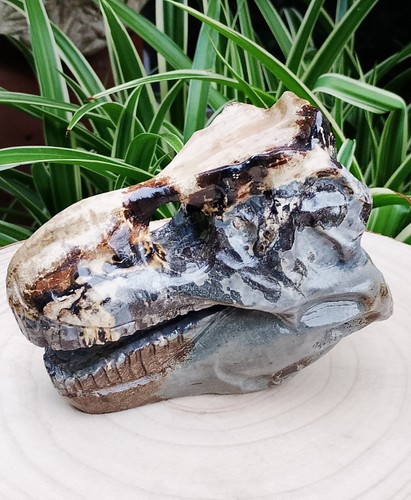 767g picture jasper - 767g,