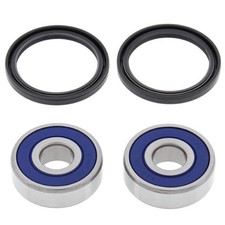 25-1147 All Balls Kit Bearings