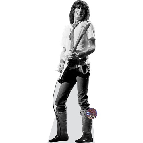 Ronnie wood life - (guitar),