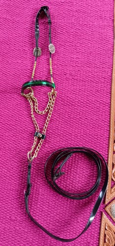 Miniature horse show halter