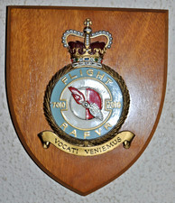 7010 Flight Royal Air Force