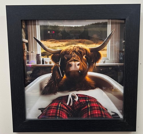 Highland cow black frame - highland,