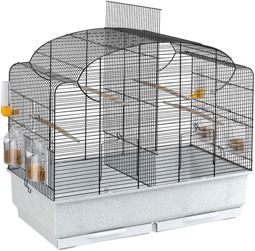Bird cage canaries - cage, canto