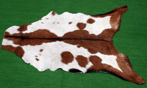 Luxury goat hide - luxury, on