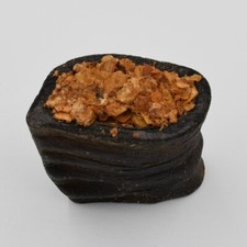 Filled Buffalo Horns Natural