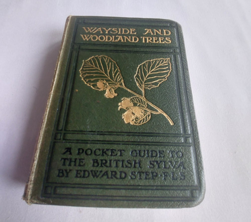 Wayside and woodland trees - woodland,