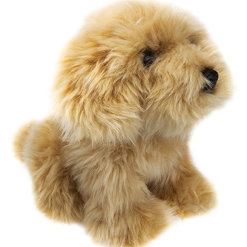 Labradoodle dog soft toy - labradoodle,