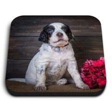 1x Square Fridge MDF Magnet