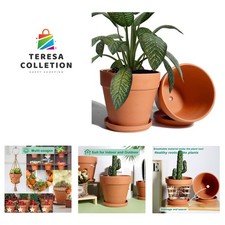 8 Inch Clay Pot for Plant with