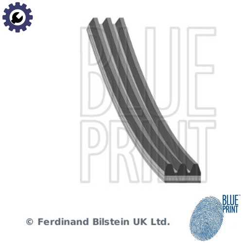 Vribbed belt ad03r668 for - vribbed,