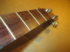 LAKEWOOD STEEL STRING - D I Y